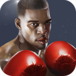 punch boxing 3d android application logo